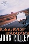 Stray Dogs