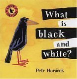What Is Black and White? (Board Book)