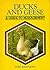 Ducks and Geese: A Guide to Management