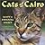 Cats of Cairo by Lorraine Chittock