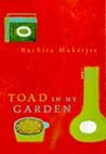 Toad in my garden