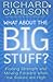 What About the Big Stuff? : Finding Strength and Moving Forward When the Stakes Are High