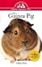 Guinea Pig: An Owner's Guid...