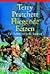 Fliegende Fetzen (Discworld...