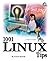 Making Linux Work by Arman Danesh