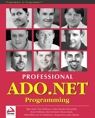 Professional ADO.NET Programming (Paperback)