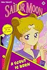 Sailor Moon by Stuart J. Levy