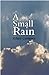 A Small Rain