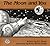 The Moon and You by E.C. Krupp
