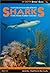 Sharks of Florida, the Baha...