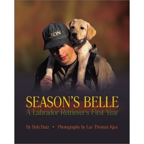 labrador first season