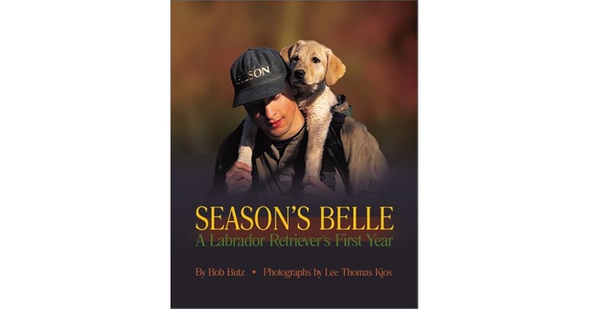 labrador first season