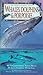Whales, Dolphins & Porpoises
