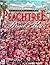 25 Years of the Peachtree R...