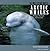 The World of the Arctic Whales: Belugas, Bowheads, and Narwhals