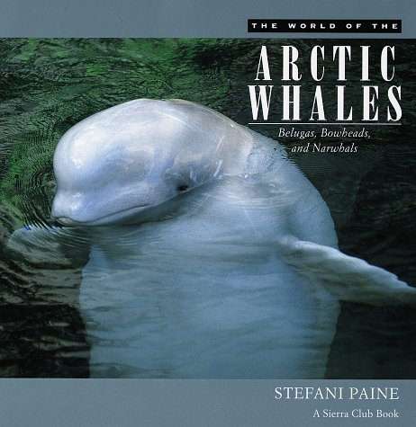 The World of the Arctic Whales: Belugas, Bowheads, and Narwhals (Paperback)