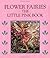 Flower Fairies The Little Pink Book