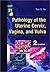 Pathology of the Uterine Cervix, Vagina and Vulva