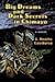 Big Dreams and Dark Secrets in Chimayό: A Novel (Pasó Por Aquí Series on the Nuevomexicano Literary Heritage)