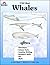 Whales