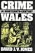 Crime in Nineteenth-Century Wales
