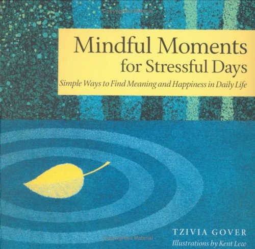 Mindful Moments for Stressful Days : Simple Ways to Find Meaning and Happiness in Daily Life (Paperback)