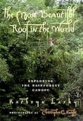 The Most Beautiful Roof in the World: Exploring the Rainforest Canopy 