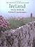 Ireland Stone Walls and Fabled Land by Alen MacWeeney