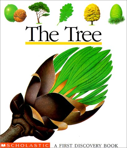 The Tree (First Discovery Books)