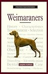 A New Owner's Guide to Weimaraners
