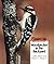 Woodpecker in the Backyard (Wildlife Conservation Society Books)