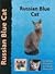 Russian Blue Cat