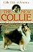 The New Collie