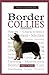 A New Owner's Guide to Border Collies