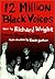 12 Million Black Voices