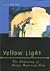 Yellow Light: The Flowering of Asian American Arts (Asian American History & Culture)