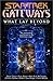 What Lay Beyond (Star Trek:...