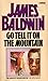 Go Tell It On The Mountain by James Baldwin
