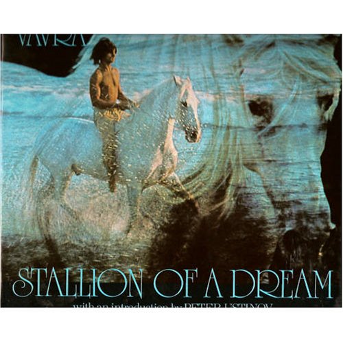 Stallion of a Dream (Hardcover)
