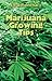 Marijuana Growing Tips