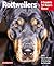 Rottweilers by Kerry V. Kern