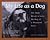 My Life As A Dog-The Many Moods Of Lucy...Dog Of A by Geoff Hansen My Life As A Dog-The Many Moods Of Lucy...Dog Of A by Geoff Hansen