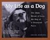 My Life As A Dog-The Many Moods Of Lucy...Dog Of A My Life As A Dog-The Many Moods Of Lucy...Dog Of A