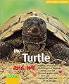 My Turtle and Me (For the Love of Animals Series) My Turtle and Me (For the Love of Animals Series)