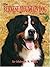 The Bernese Mountain Dog To...