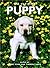 The Ultimate Puppy by Terry Diana Ryan