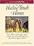 The Healing Touch of Horses by A. Bronwyn Llewellyn
