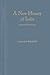 A New History of India by Stanley Wolpert