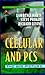 Cellular and PCS : The Big Picture (McGraw-Hill Series on Telecommunications)