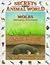 Moles: Champion Excavators (Secrets Animal World)